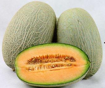 哈密瓜吃功效,润肺生津，美容养颜的天然佳品